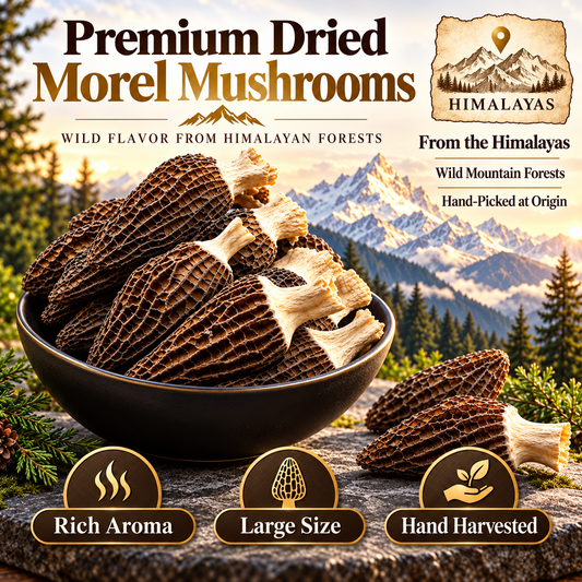 Picked, Rich & Aromatic-Hugh Himalayan Wild Morel Mushrooms-SE